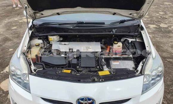 ซื้อ รถมือสอง Toyota Prius ขาว รถยนต์ ใน %{เมือง} ใน กรุงเทพมหานคร ซื้อ รถมือสอง Toyota Prius ขาว รถยนต์ ใน %{เมือง} ใน กรุงเทพมหานคร