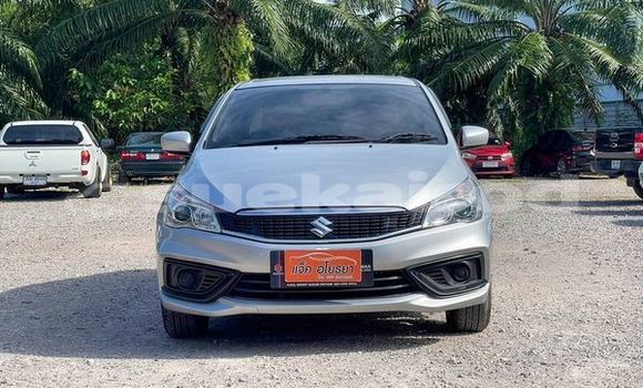 ซื้อ รถมือสอง Suzuki Ciaz อื่น ๆ รถยนต์ ใน %{เมือง} ใน สุราษฎร์ธานี ซื้อ รถมือสอง Suzuki Ciaz อื่น ๆ รถยนต์ ใน %{เมือง} ใน สุราษฎร์ธานี