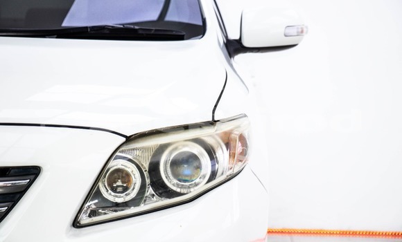 Buy Used Toyota Corolla Altis White Car in Bangkok in Bangkok Buy Used Toyota Corolla Altis White Car in Bangkok in Bangkok