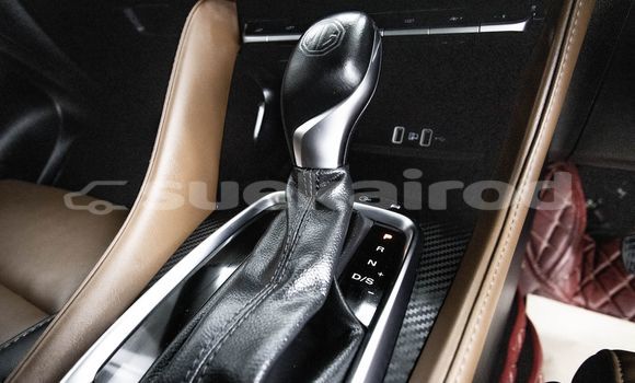 Buy Used MG ZS Red Car in Bangkok in Bangkok Buy Used MG ZS Red Car in Bangkok in Bangkok