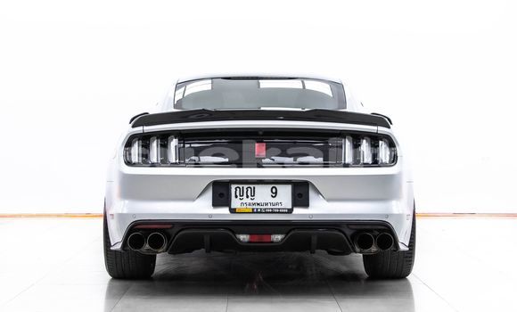 ซื้อ รถมือสอง Ford Mustang อื่น ๆ รถยนต์ ใน %{เมือง} ใน กรุงเทพมหานคร ซื้อ รถมือสอง Ford Mustang อื่น ๆ รถยนต์ ใน %{เมือง} ใน กรุงเทพมหานคร