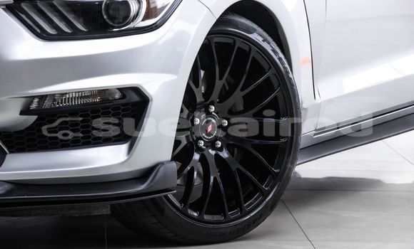 ซื้อ รถมือสอง Ford Mustang อื่น ๆ รถยนต์ ใน %{เมือง} ใน กรุงเทพมหานคร ซื้อ รถมือสอง Ford Mustang อื่น ๆ รถยนต์ ใน %{เมือง} ใน กรุงเทพมหานคร
