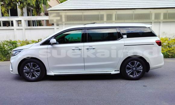Buy Used Kia Carnival White Car in Bangkok in Bangkok Buy Used Kia Carnival White Car in Bangkok in Bangkok