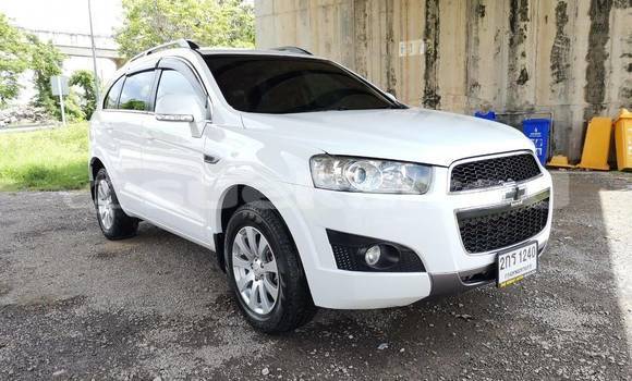 ซื้อ รถมือสอง Chevrolet Captiva ขาว รถยนต์ ใน %{เมือง} ใน กรุงเทพมหานคร ซื้อ รถมือสอง Chevrolet Captiva ขาว รถยนต์ ใน %{เมือง} ใน กรุงเทพมหานคร