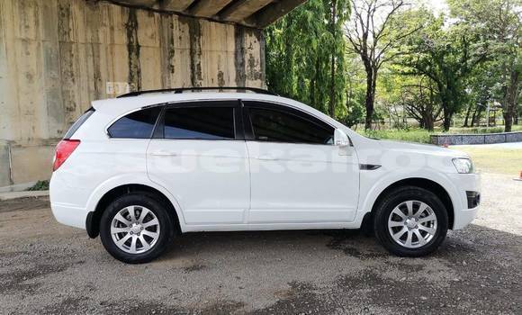 ซื้อ รถมือสอง Chevrolet Captiva ขาว รถยนต์ ใน %{เมือง} ใน กรุงเทพมหานคร ซื้อ รถมือสอง Chevrolet Captiva ขาว รถยนต์ ใน %{เมือง} ใน กรุงเทพมหานคร