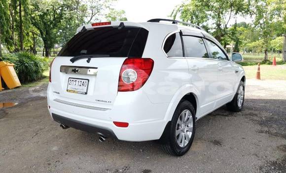 ซื้อ รถมือสอง Chevrolet Captiva ขาว รถยนต์ ใน %{เมือง} ใน กรุงเทพมหานคร ซื้อ รถมือสอง Chevrolet Captiva ขาว รถยนต์ ใน %{เมือง} ใน กรุงเทพมหานคร