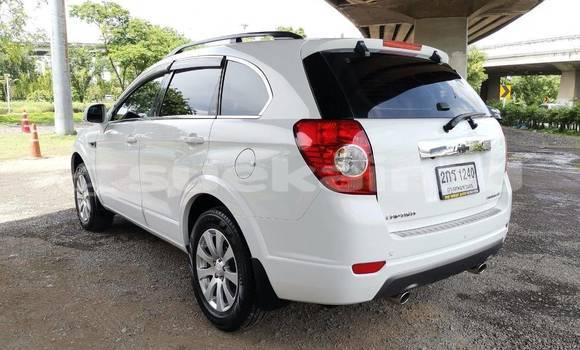ซื้อ รถมือสอง Chevrolet Captiva ขาว รถยนต์ ใน %{เมือง} ใน กรุงเทพมหานคร ซื้อ รถมือสอง Chevrolet Captiva ขาว รถยนต์ ใน %{เมือง} ใน กรุงเทพมหานคร