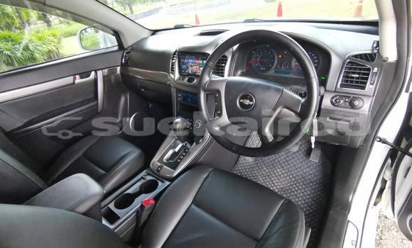 ซื้อ รถมือสอง Chevrolet Captiva ขาว รถยนต์ ใน %{เมือง} ใน กรุงเทพมหานคร ซื้อ รถมือสอง Chevrolet Captiva ขาว รถยนต์ ใน %{เมือง} ใน กรุงเทพมหานคร