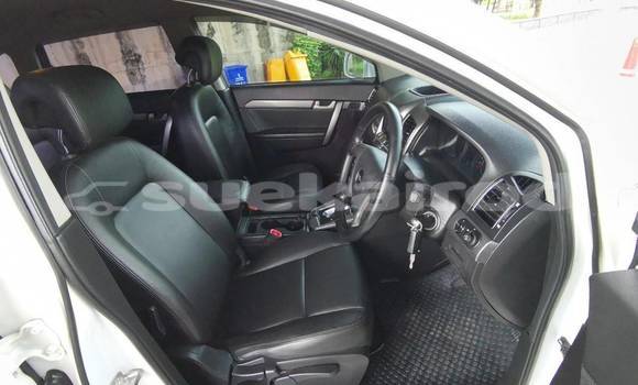 ซื้อ รถมือสอง Chevrolet Captiva ขาว รถยนต์ ใน %{เมือง} ใน กรุงเทพมหานคร ซื้อ รถมือสอง Chevrolet Captiva ขาว รถยนต์ ใน %{เมือง} ใน กรุงเทพมหานคร