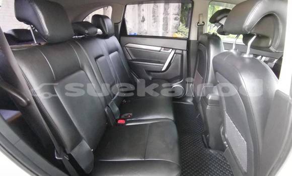 ซื้อ รถมือสอง Chevrolet Captiva ขาว รถยนต์ ใน %{เมือง} ใน กรุงเทพมหานคร ซื้อ รถมือสอง Chevrolet Captiva ขาว รถยนต์ ใน %{เมือง} ใน กรุงเทพมหานคร