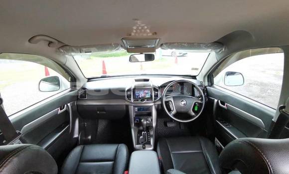 ซื้อ รถมือสอง Chevrolet Captiva ขาว รถยนต์ ใน %{เมือง} ใน กรุงเทพมหานคร ซื้อ รถมือสอง Chevrolet Captiva ขาว รถยนต์ ใน %{เมือง} ใน กรุงเทพมหานคร