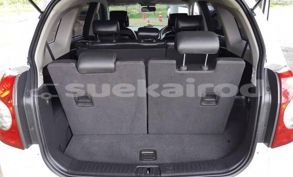 ซื้อ รถมือสอง Chevrolet Captiva ขาว รถยนต์ ใน %{เมือง} ใน กรุงเทพมหานคร ซื้อ รถมือสอง Chevrolet Captiva ขาว รถยนต์ ใน %{เมือง} ใน กรุงเทพมหานคร