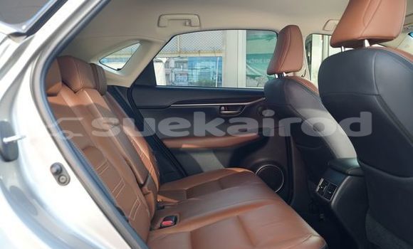 Buy Used Lexus NX Silver Car in Bangkok in Bangkok Buy Used Lexus NX Silver Car in Bangkok in Bangkok