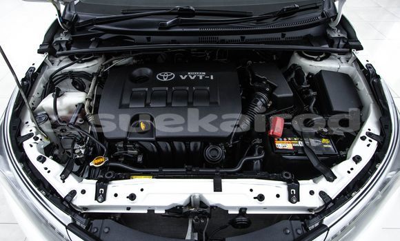 Buy Used Toyota Altis White Car in Bangkok in Bangkok Buy Used Toyota Altis White Car in Bangkok in Bangkok