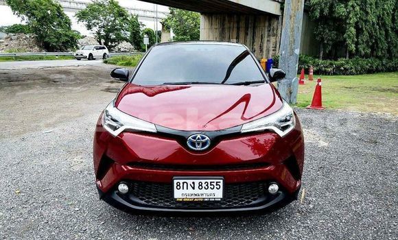 Buy Used Toyota C-HR Red Car in Bangkok in Bangkok