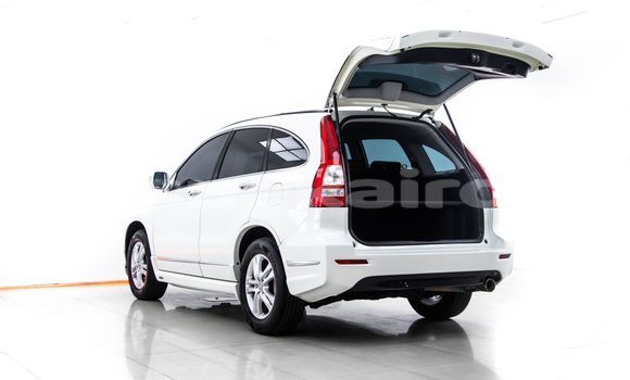 Buy Used Honda CR-V White Car in Bangkok in Bangkok Buy Used Honda CR-V White Car in Bangkok in Bangkok