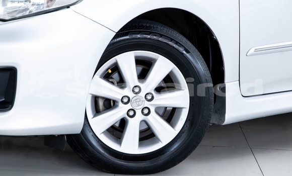 ซื้อ รถมือสอง Toyota Altis ขาว รถยนต์ ใน %{เมือง} ใน นนทบุรี ซื้อ รถมือสอง Toyota Altis ขาว รถยนต์ ใน %{เมือง} ใน นนทบุรี