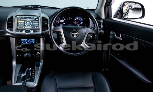 ซื้อ รถมือสอง Chevrolet Captiva สีดำ รถยนต์ ใน %{เมือง} ใน นนทบุรี ซื้อ รถมือสอง Chevrolet Captiva สีดำ รถยนต์ ใน %{เมือง} ใน นนทบุรี