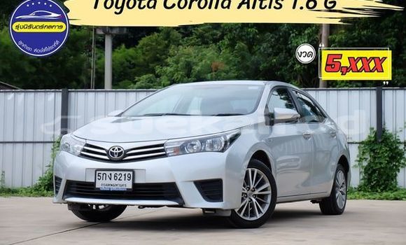 Buy Used Toyota Altis Silver Car in Udon Thani in Udon Thani