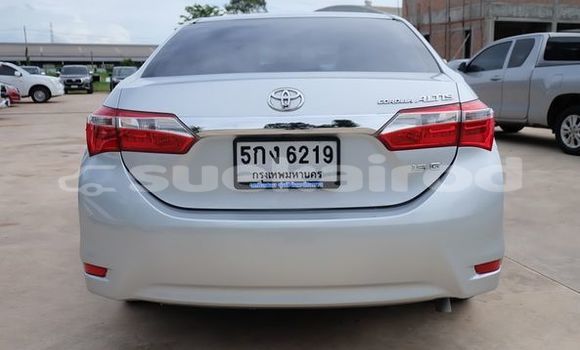 ซื้อ รถมือสอง Toyota Altis เงิน รถยนต์ ใน %{เมือง} ใน อุดรธานี ซื้อ รถมือสอง Toyota Altis เงิน รถยนต์ ใน %{เมือง} ใน อุดรธานี