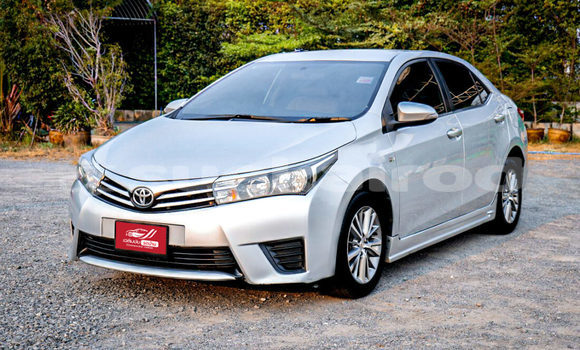 Buy Used Toyota Altis Silver Car in Saraburi in Saraburi