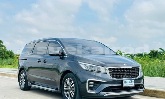 ซื้อ รถมือสอง Kia Carnival สีดำ รถยนต์ ใน %{เมือง} ใน กรุงเทพมหานคร ซื้อ รถมือสอง Kia Carnival สีดำ รถยนต์ ใน %{เมือง} ใน กรุงเทพมหานคร