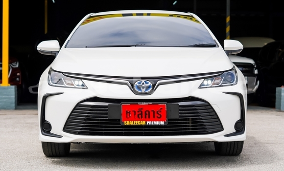 Buy Used Toyota Corolla Altis White Car in Chiang Mai in Chiang Mai Buy Used Toyota Corolla Altis White Car in Chiang Mai in Chiang Mai