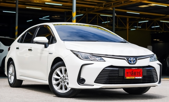 Buy Used Toyota Corolla Altis White Car in Chiang Mai in Chiang Mai Buy Used Toyota Corolla Altis White Car in Chiang Mai in Chiang Mai
