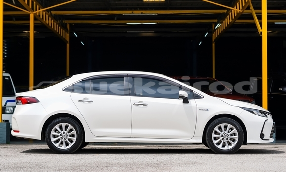 Buy Used Toyota Corolla Altis White Car in Chiang Mai in Chiang Mai Buy Used Toyota Corolla Altis White Car in Chiang Mai in Chiang Mai