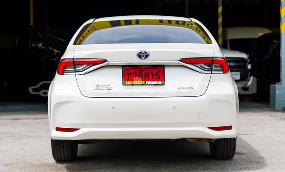 Buy Used Toyota Corolla Altis White Car in Chiang Mai in Chiang Mai Buy Used Toyota Corolla Altis White Car in Chiang Mai in Chiang Mai