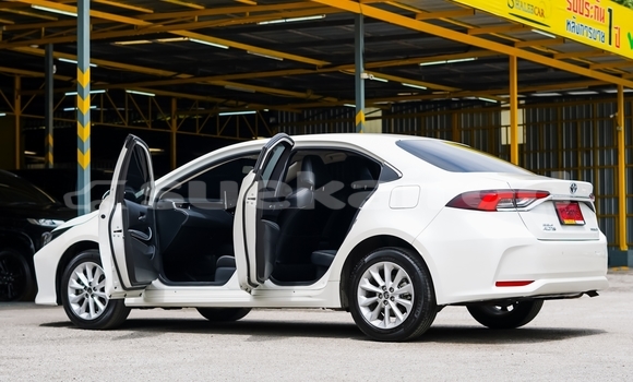 Buy Used Toyota Corolla Altis White Car in Chiang Mai in Chiang Mai Buy Used Toyota Corolla Altis White Car in Chiang Mai in Chiang Mai