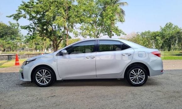 ซื้อ รถมือสอง Toyota Altis อื่น ๆ รถยนต์ ใน %{เมือง} ใน กรุงเทพมหานคร ซื้อ รถมือสอง Toyota Altis อื่น ๆ รถยนต์ ใน %{เมือง} ใน กรุงเทพมหานคร