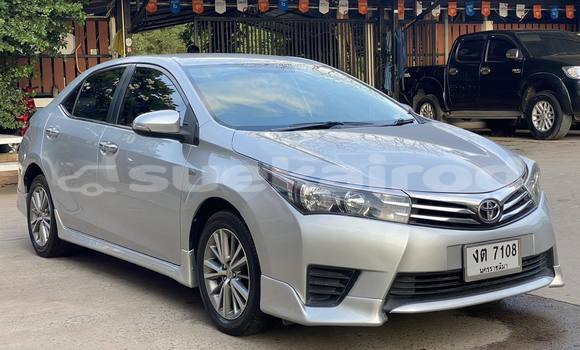 Buy Used Toyota Altis Silver Car in Nakhon Ratchasima in Nakhon Ratchasima Buy Used Toyota Altis Silver Car in Nakhon Ratchasima in Nakhon Ratchasima