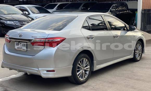 Buy Used Toyota Altis Silver Car in Nakhon Ratchasima in Nakhon Ratchasima Buy Used Toyota Altis Silver Car in Nakhon Ratchasima in Nakhon Ratchasima