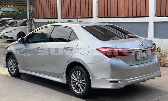 Buy Used Toyota Altis Silver Car in Nakhon Ratchasima in Nakhon Ratchasima Buy Used Toyota Altis Silver Car in Nakhon Ratchasima in Nakhon Ratchasima