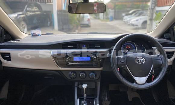 Buy Used Toyota Altis Silver Car in Nakhon Ratchasima in Nakhon Ratchasima Buy Used Toyota Altis Silver Car in Nakhon Ratchasima in Nakhon Ratchasima