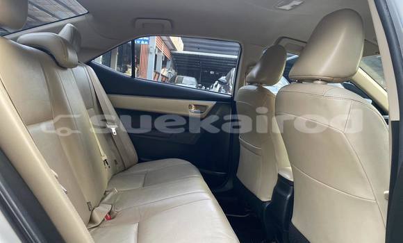 Buy Used Toyota Altis Silver Car in Nakhon Ratchasima in Nakhon Ratchasima Buy Used Toyota Altis Silver Car in Nakhon Ratchasima in Nakhon Ratchasima