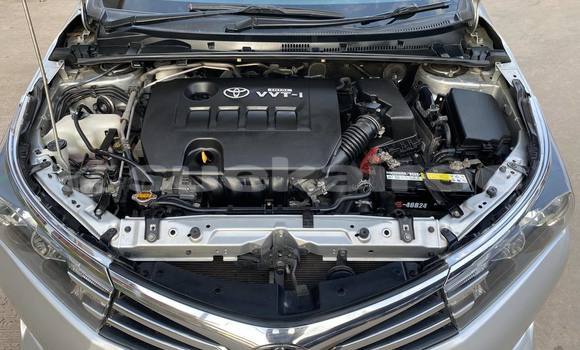 Buy Used Toyota Altis Silver Car in Nakhon Ratchasima in Nakhon Ratchasima Buy Used Toyota Altis Silver Car in Nakhon Ratchasima in Nakhon Ratchasima