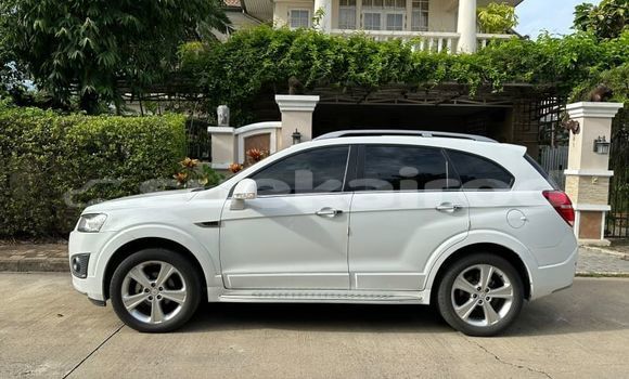 ซื้อ รถมือสอง Chevrolet Captiva ขาว รถยนต์ ใน %{เมือง} ใน กรุงเทพมหานคร ซื้อ รถมือสอง Chevrolet Captiva ขาว รถยนต์ ใน %{เมือง} ใน กรุงเทพมหานคร
