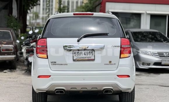 ซื้อ รถมือสอง Chevrolet Captiva ขาว รถยนต์ ใน %{เมือง} ใน กรุงเทพมหานคร ซื้อ รถมือสอง Chevrolet Captiva ขาว รถยนต์ ใน %{เมือง} ใน กรุงเทพมหานคร