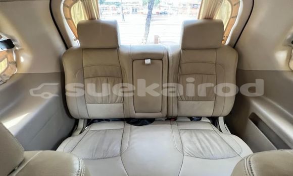 ซื้อ รถมือสอง Hyundai Grand Starex สีดำ รถยนต์ ใน %{เมือง} ใน กรุงเทพมหานคร ซื้อ รถมือสอง Hyundai Grand Starex สีดำ รถยนต์ ใน %{เมือง} ใน กรุงเทพมหานคร