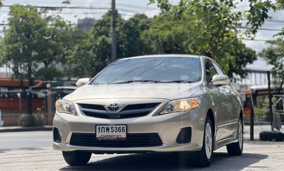 Buy Used Toyota Corolla Altis Other Car in Bangkok in Bangkok Buy Used Toyota Corolla Altis Other Car in Bangkok in Bangkok