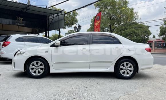 Buy Used Toyota Corolla Altis White Car in Bangkok in Bangkok Buy Used Toyota Corolla Altis White Car in Bangkok in Bangkok