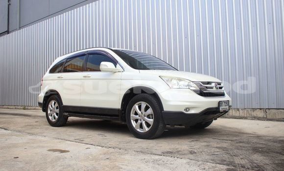 ซื้อ รถมือสอง Honda CR-V ขาว รถยนต์ ใน %{เมือง} ใน กรุงเทพมหานคร ซื้อ รถมือสอง Honda CR-V ขาว รถยนต์ ใน %{เมือง} ใน กรุงเทพมหานคร