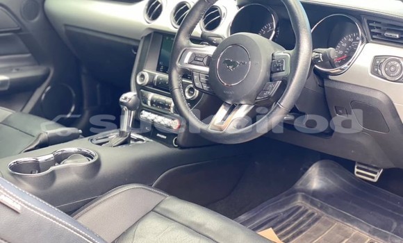 ซื้อ รถมือสอง Ford Mustang อื่น ๆ รถยนต์ ใน %{เมือง} ใน กรุงเทพมหานคร ซื้อ รถมือสอง Ford Mustang อื่น ๆ รถยนต์ ใน %{เมือง} ใน กรุงเทพมหานคร