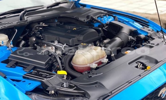 ซื้อ รถมือสอง Ford Mustang อื่น ๆ รถยนต์ ใน %{เมือง} ใน กรุงเทพมหานคร ซื้อ รถมือสอง Ford Mustang อื่น ๆ รถยนต์ ใน %{เมือง} ใน กรุงเทพมหานคร