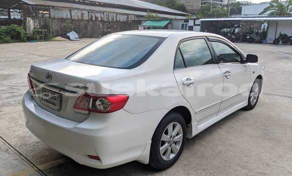 ซื้อ รถมือสอง Toyota Corolla ขาว รถยนต์ ใน %{เมือง} ใน กรุงเทพมหานคร ซื้อ รถมือสอง Toyota Corolla ขาว รถยนต์ ใน %{เมือง} ใน กรุงเทพมหานคร
