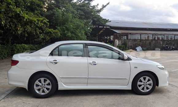 ซื้อ รถมือสอง Toyota Corolla ขาว รถยนต์ ใน %{เมือง} ใน กรุงเทพมหานคร ซื้อ รถมือสอง Toyota Corolla ขาว รถยนต์ ใน %{เมือง} ใน กรุงเทพมหานคร