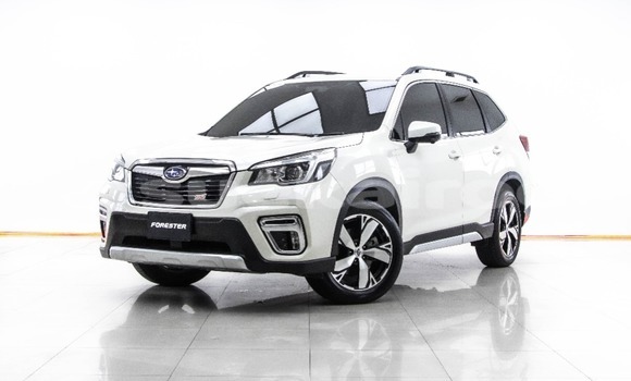 Buy Used Subaru Forester White Car in Bangkok in Bangkok