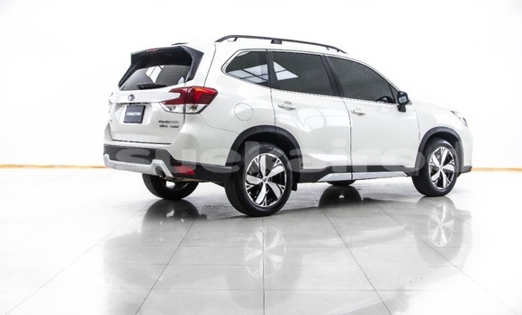 Buy Used Subaru Forester White Car in Bangkok in Bangkok Buy Used Subaru Forester White Car in Bangkok in Bangkok